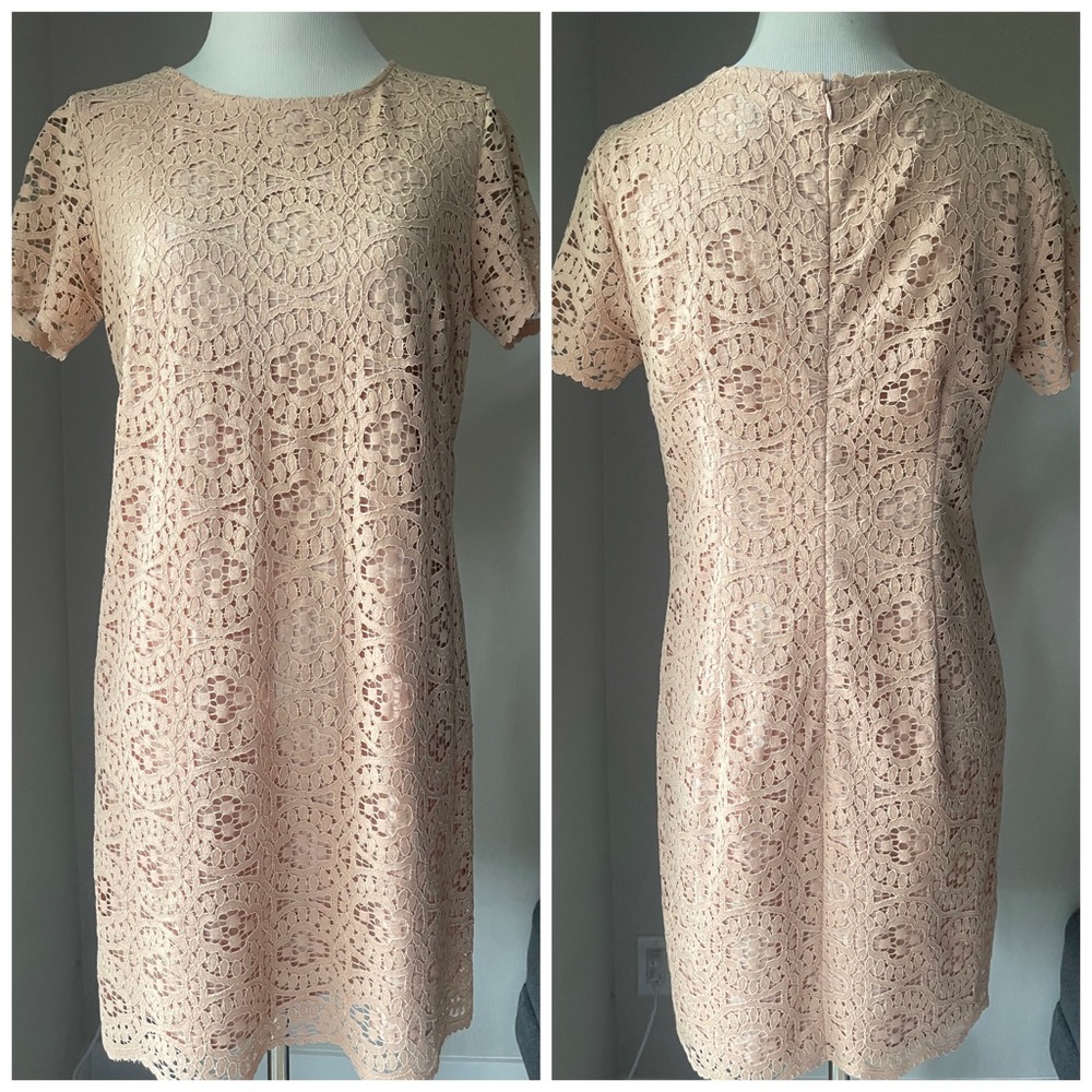 Ann Taylor Petite Pink Lace Dress